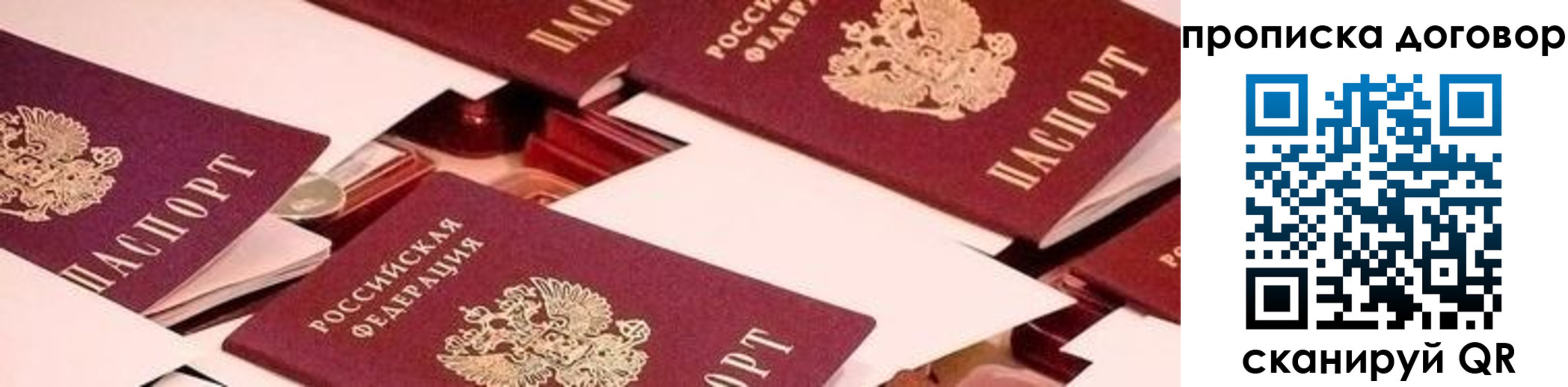 прописка для школы в Зверево